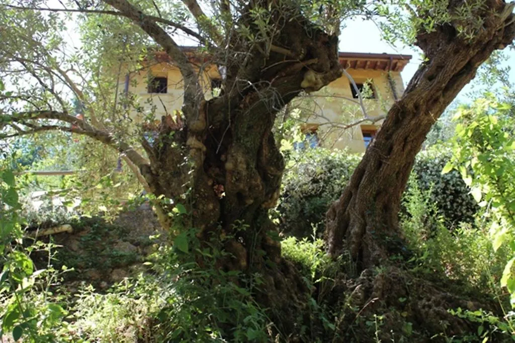 Bed & Breakfast Almora B&B Pietrasanta