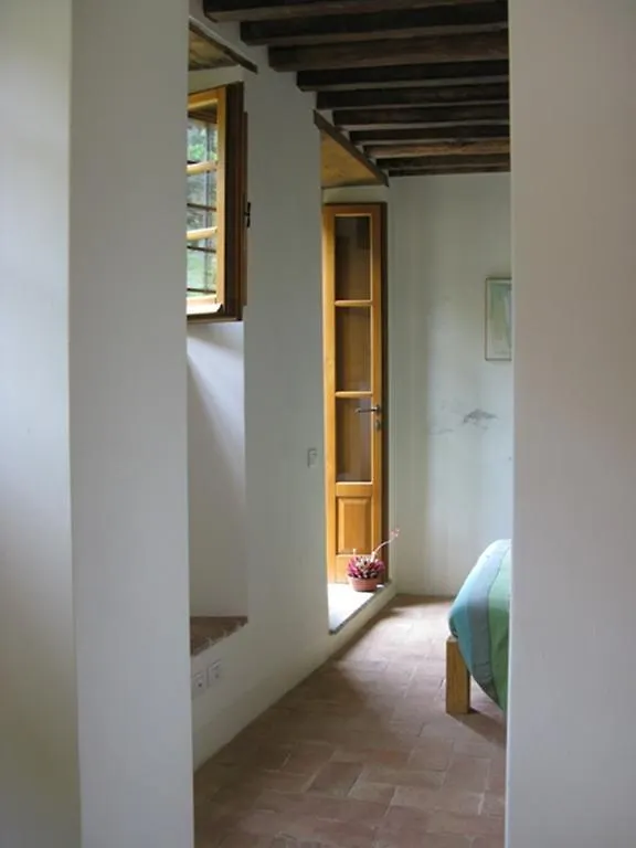 Almora B&B Pietrasanta