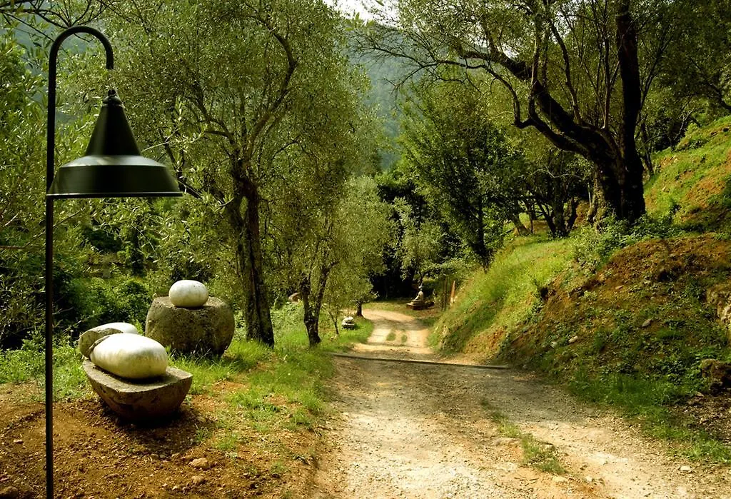 Bed & Breakfast Almora B&B Pietrasanta