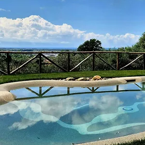 Olivemare Pietrasanta